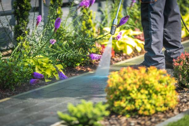 Reliable Lincoln, NE Pressure Washing Services Solutions